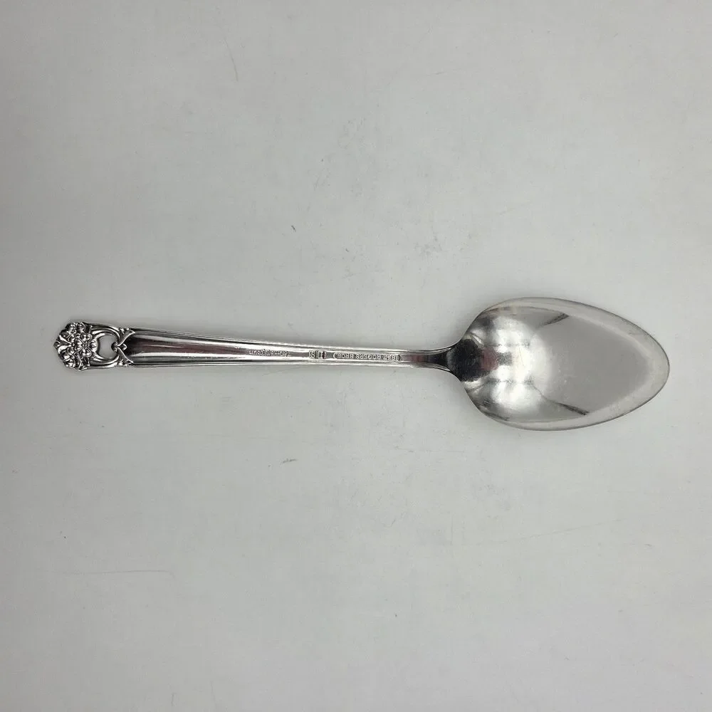 1847 Rogers Bros ETERNALLY YOURS Serving Spoon 8 3/8